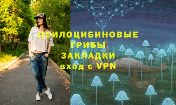 дживик Алзамай