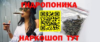 mdma Сланцы