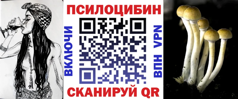 Галлюциногенные грибы Cubensis  Морозовск 